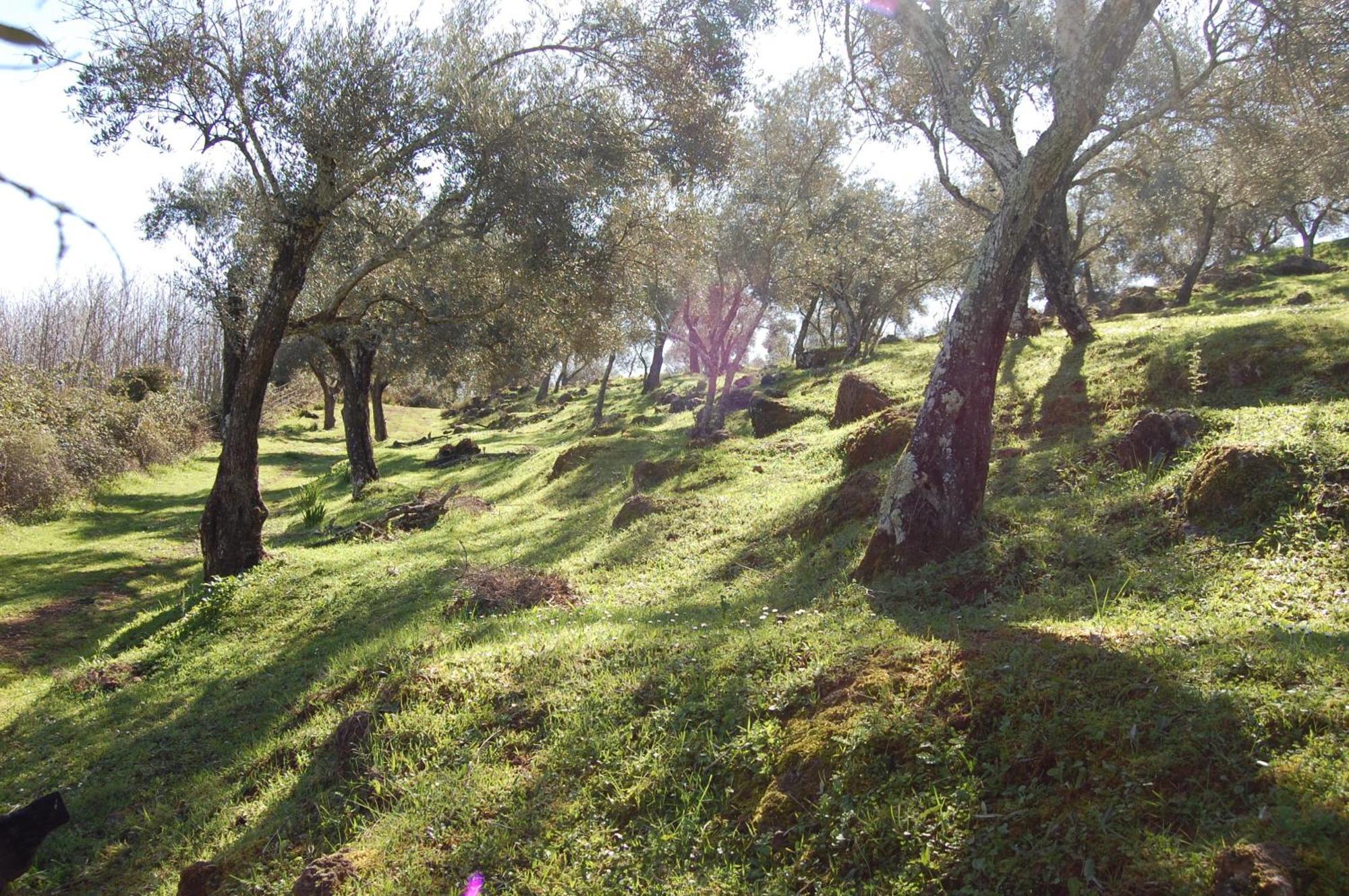 Los Pozos De La Nieve Constantina Bagian luar foto